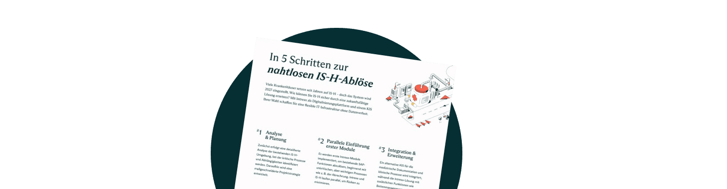 IS-H Ablöse in 5 Schritten: Whitepaper
